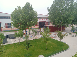 坦桑尼亞石膏板生產線和石膏粉生產線裝箱發貨（第二批）